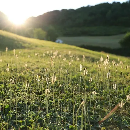 Bed and Breakfast Domaine La Rose 4*